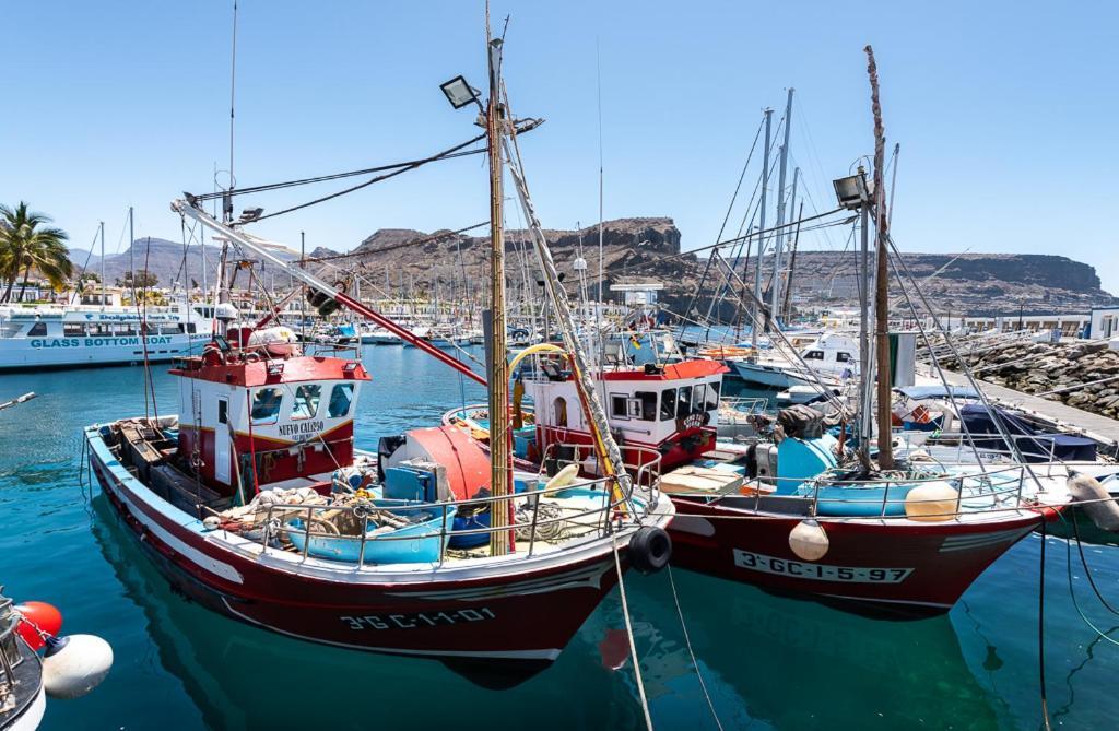 Edificio Playa Daire Puerto De Mogan Dış mekan fotoğraf